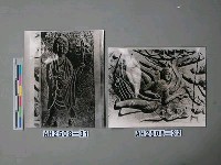 藏品(北魏鞏縣石窟第五窟之井（景）)的圖片